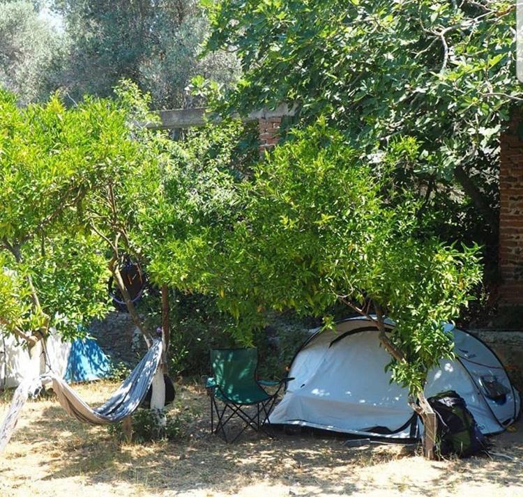 Bodrum Masali Camping Gümüşlük Ngoại thất bức ảnh