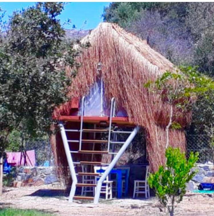 Bodrum Masali Camping Gümüşlük Ngoại thất bức ảnh