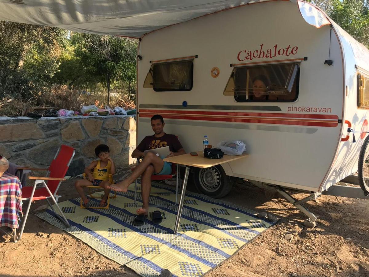 Bodrum Masali Camping Gümüşlük Ngoại thất bức ảnh